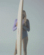 MF X LAURA ENEVER SUN BEAM - PALM SPRINGS